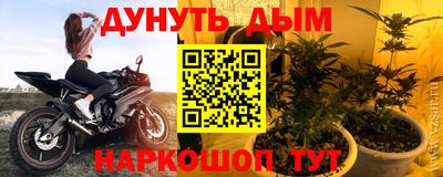 гидра Кингисепп