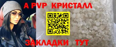 гидра Кингисепп
