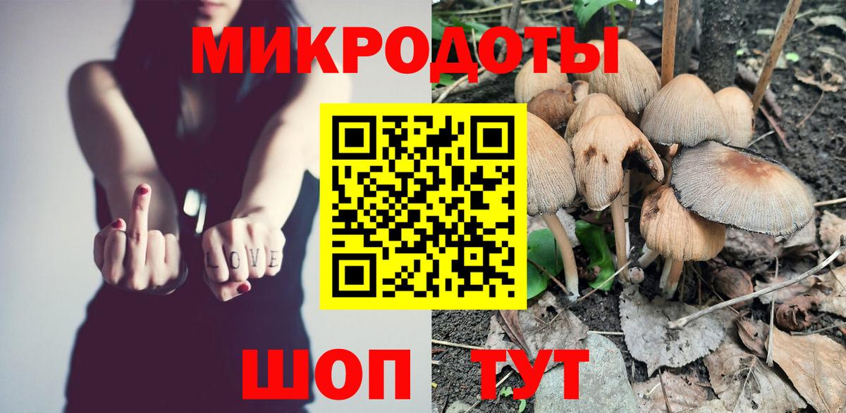 наркотики  Вход с VPN  Конаково  Псилоцибиновые грибы Psilocybine cubensis  Псилоцибиновые грибы GOLDEN TEACHER 